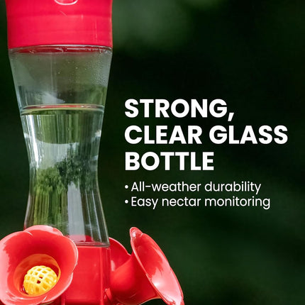 Perky-Pet 203CPBN-2 Glass Hummingbird Feeders for Outdoors with Perches, Ant Moat, Bee Guards - Pack of 2