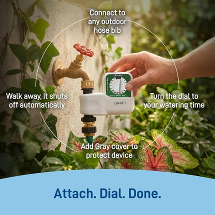 Orbit 62024 Single-Dial Hose Watering Digital Timer