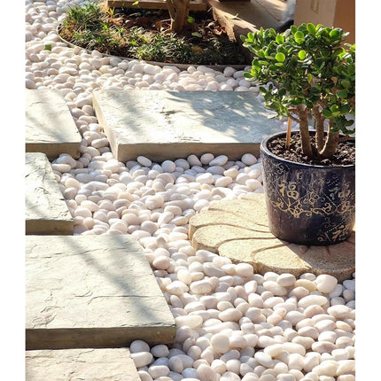 FANTIAN Natural Polished White Pebbles - Smooth Small River Rocks for Plants, Aquariums, Vase Fillers and Fairy Garden (5, Medium)