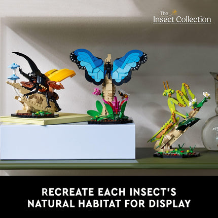 LEGO Ideas The Insect Collection, Fun Gift for Nature Lovers, with Life-Size Blue Morpho Butterfly, Hercules Beetle and Chinese Mantis Display Models, Insect Building Set, Nature Décor (6452127)