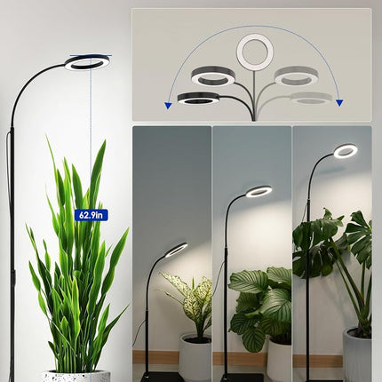 GLOWRIUM Grow Light with Stand,2-Head LED Plant Light for Indoor Plants, Full Spectrum Grow Lamp, 3/9/12H Timer, 6 Dimmable Levels, 3 Lighting Mode, Adjustable Height (Black, 36W)