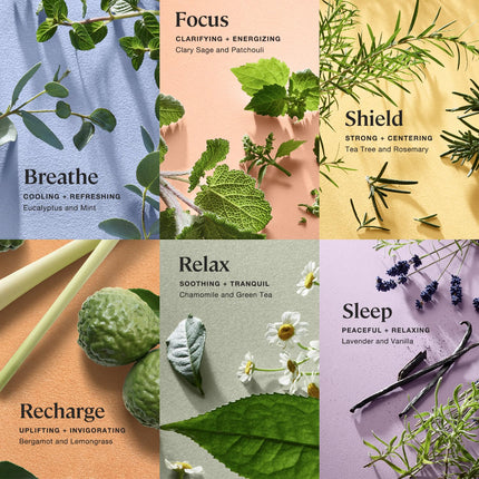 Sprig Bath Bomb Essentials Pack