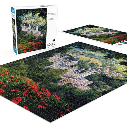 Buffalo Games - Florian Olbrechts - Schloss Neuschwanstein - 1000 Piece Jigsaw Puzzle for Adults -Challenging Puzzle Perfect for Game Nights - Finished Size is 26.75 x 19.75