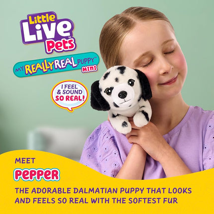 Little Live Pets My Really Real Puppy Minis- Pepper the Dalmatian| Interactive Puppy with 20+ Sounds & Reactions- Includes Basket for Display. Fun & Adorable Gift for Kids (11cm/4.3in Tall)