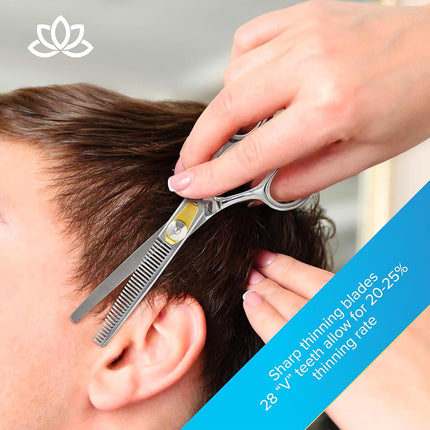 Equinox Professional Razor Edge Series - Hair Cutting and Thinning/Texturizing Scissors/Shears Set - 6.5 - Stainless Steel