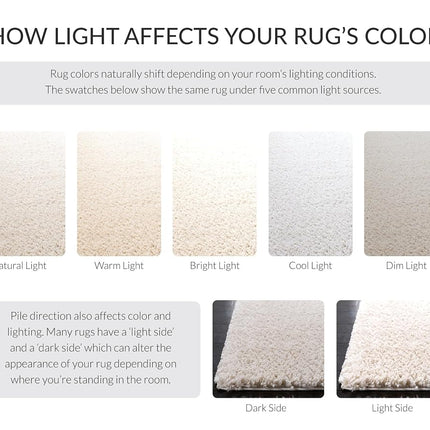SAFAVIEH Shag Rug for Living Room, Dining Room, Bedroom - August Shag Collection, Short Pile, in Ivory, 76 X 183 cm