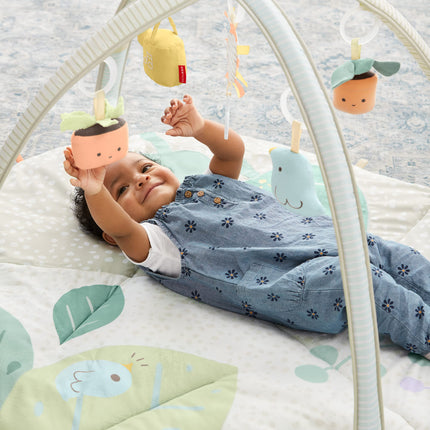 Gimnasio de actividades para bebés Skip Hop, Garden Oasis, verde multicolor