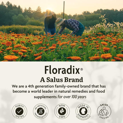 FLORADIX Yeast-Free Iron & Herbs, 8.5 FZ