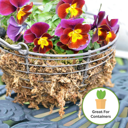 Perfect Plants Premium sphagnum moss in 2qt. resealable bag, long-fibre, sustainably harvested moss, for all orchid varieties