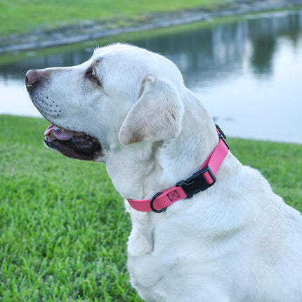 Dogline Biothane Waterproof Dog Collar with Quick Release Buckle Strong Coated Nylon Webbing with Odor- Proof for Easy Care Easy to Clean Fits Small Medium or Large Dogs - Pink 1" Width 15-23" L