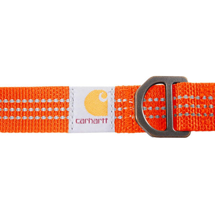 Carhartt Nylon Webbing Dog Collar, Fully Adjustable W/Durable Side Release Buckle, Hunter Orange, Medium