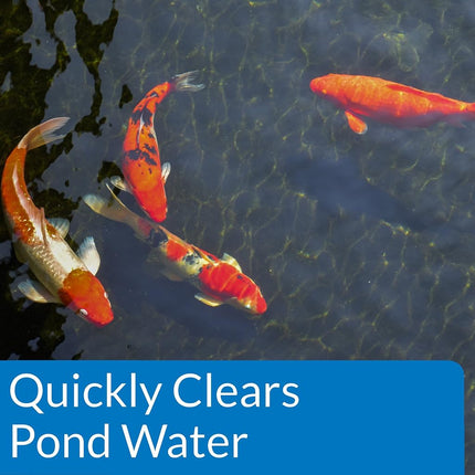 API Pond ACCU-Clear Pond Water Clarifier 64-Ounce Bottle (142D)