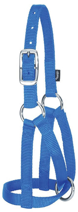 (Medium/Large, Blue) - Weaver Leather Llama Halter