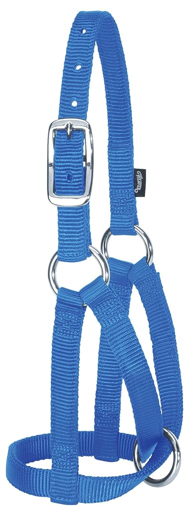 (Medium/Large, Blue) - Weaver Leather Llama Halter