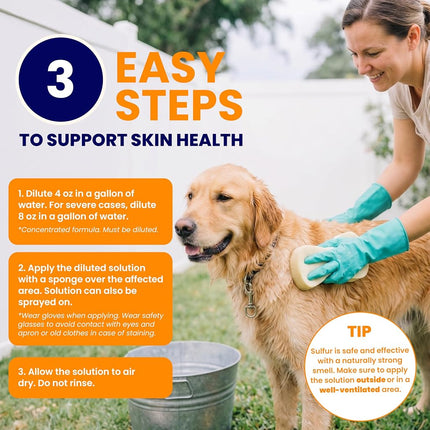 Classic's Lime Sulfur Dip (8 oz - Extra Strength Formula - Safe Solution for Dog, Cat, Puppy, Kitten, Horse