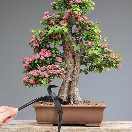 Herramienta Hendidora de Troncos BambooMN de 10.5" - 1 Pieza