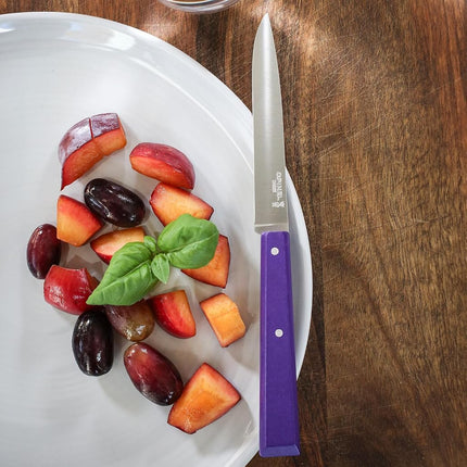 Opinel Bon Appetit Pop Box of 4 Table Knife No125 S/S - 11cm (Tangerine/Apple Green/Fuchsia/Purple)