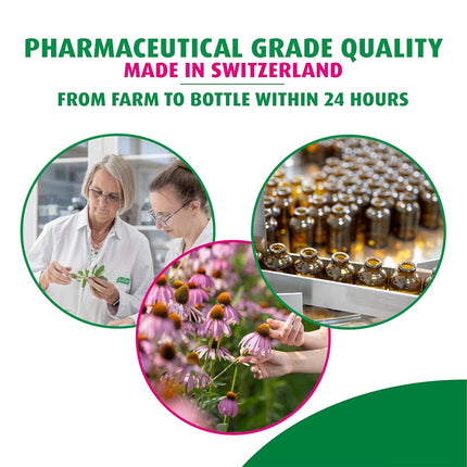 A Vogel Echinaforce Echinacea Tablets, 380 mg - 120 Tablets