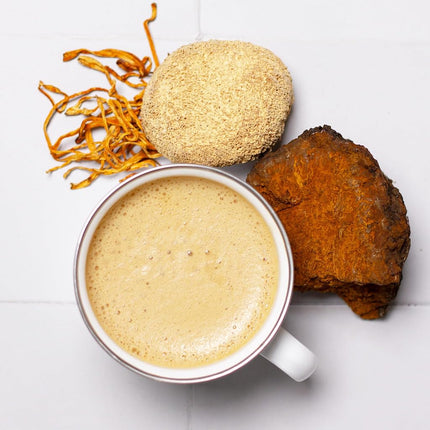 Mezcla de Hongos para el Rendimiento Laird Superfood 90g