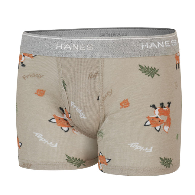 Hanes Underwear, Soft Boxer Briefs for Boys and Toddlers, Comfort Flex Waistband, Multipacks, Days of The Week, Blue, Tan, Green, 2-3T