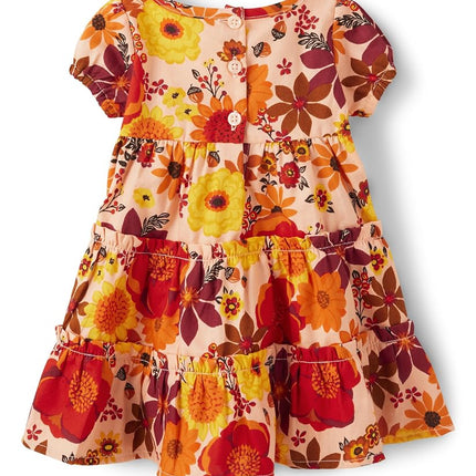 Gymboree Baby Girls' Short Sleeve Dressy Special Occasion Dresses with Diaper Cover, Harvest Flowers, 6-9 Months