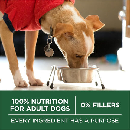 Purina ONE SmartBlend Small Breed Lamb & Rice Formula Adult Dry Dog Food - 3.8 lb. Bag