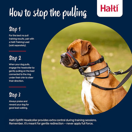 Company of Animals Halti Optifit Headcollar for Dogs, Black/Red, Large