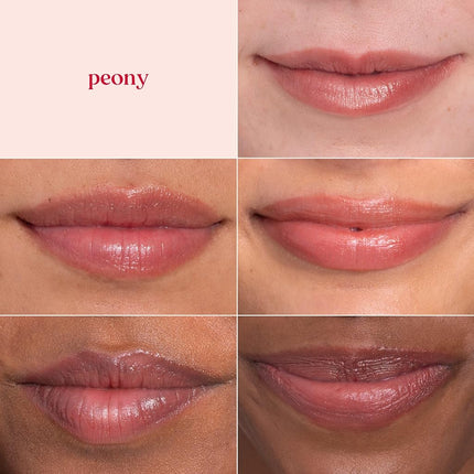 Burt's Bees 100% Natural Moisturizing Lip Shimmer, Peony - 4 Tubes