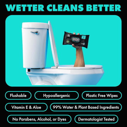 Dude Products Wipes Flushable Wet Wipes Dispenser, Mint Chill, 48Count - Scented Wet Wipes with Vitamin-E, Aloe, Eucalyptus & Tea Tree Oils for at-Home Use, Septic & Sewer Safe, Pack of 1