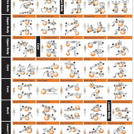 NewMe Fitness Workout Posters for Home Gym, Stability Exercise Posters for Full Body Workout, Core Abs Legs Glutes & Upper Body Training Program 1 Pack