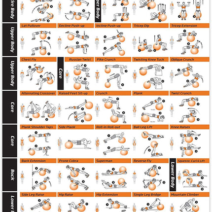 NewMe Fitness Workout Posters for Home Gym, Stabil