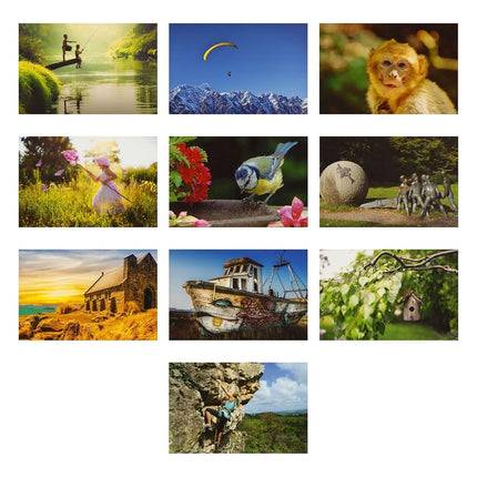 Best Paper Greetings 40 Pack Bulk Animal and Travel Postcards From Around the World for Mailing, Assorted Nature Thank You Notes (4 x 6 In)