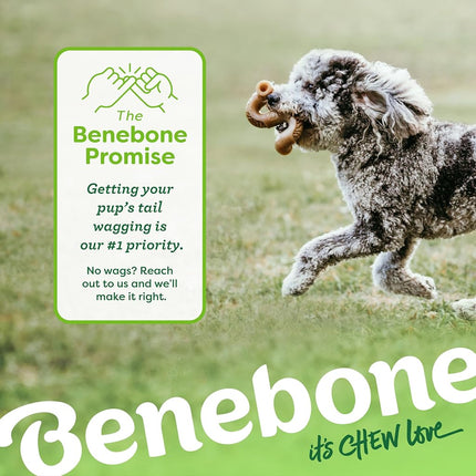 Benebone Tripe Bone Durable Dog Chew Toy for Aggressive Chewers, Real Tripe, Made in USA (Medium)