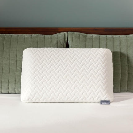 TEMPUR-Pedic TEMPUR-Cloud Oreiller, Paquet de 2, Standard, Blanc, Lot de 2