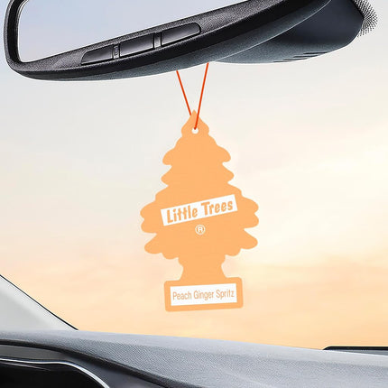 LITTLE TREES Car Air Freshener | Hanging Tree Provides Long Lasting Scent for Auto and Home | Peach Ginger Spritz, 24 Air Fresheners