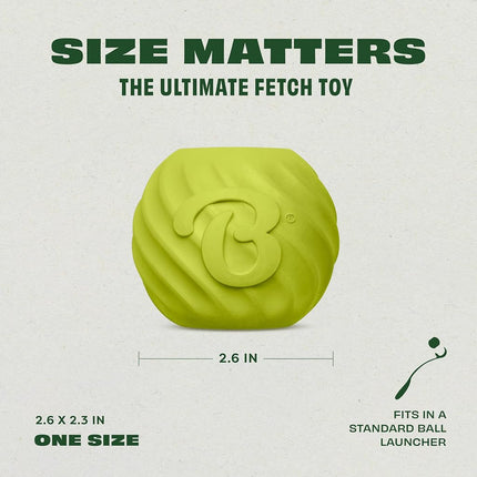 Benebone 2-Pack Rubber Ball