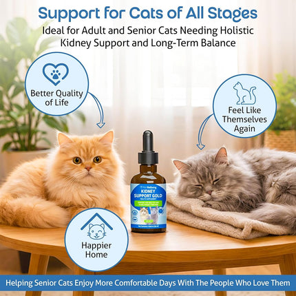 Pet Wellbeing - Kidney Support Gold for Cats - Natural Support for Feline Kidney Health - 2oz (59ml)