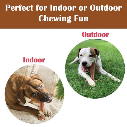 SPOT Bam-Bones Plus T-Bone, Masticable de bambú y nailon para perros, Duradero para masticadores agresivos, No se astilla, Para perros adultos y cachorros en etapa de dentición de menos de 27 kg, 15 cm, Sabor a carne de res