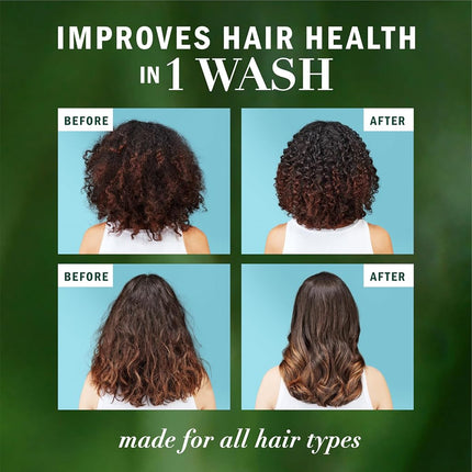 Herbal Essences Argan Oil Repair Shampoo & Conditioner Set, Moisturizes & Smoothes, Paraben-Free, Color-Safe, pH-Balanced, Citrus Scent, 20.2 Fl Oz, 2-Pack