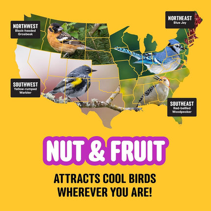 Cool Birds Nut & Fruit Wild Bird Seed – 10 lb. Gourmet Bird Food with Sunflower Hearts, Peanuts, Tree Nuts & Real Fruit – No Corn, Milo or Millet Bird Seed for Outside Feeders