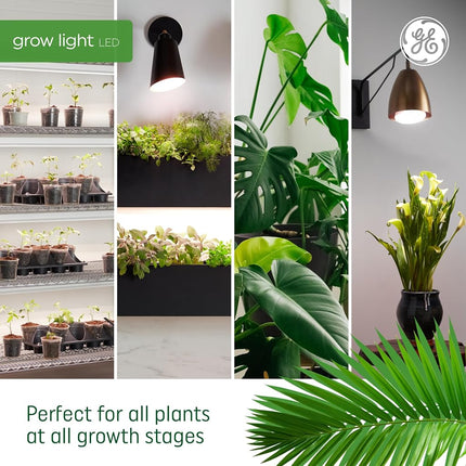 GE Lighting 93101231 Ampoule horticole LED BR30 9 W pour plantes, spectre reproductif rouge