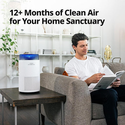 Coway Airmega 100 Air Purifier Replacement Filter Set, True HEPA and Deodorization Filte