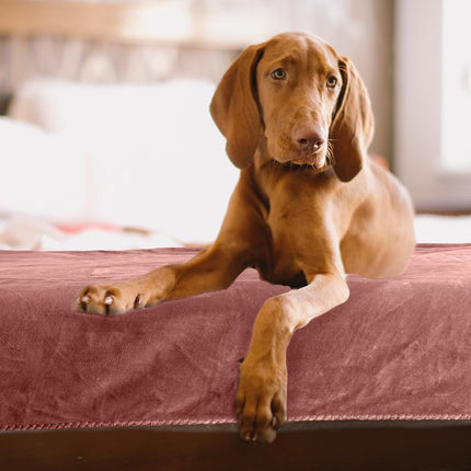 PETMAKER Dog Blanket, Pink, 80” x 100”