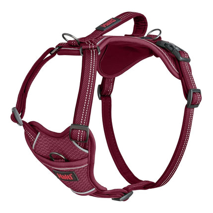 Halti Anatomy Dog Harness with Handle | Size S, Ma