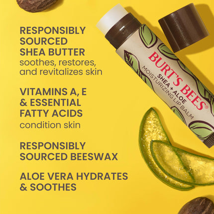Burt's Bees – Baume à Lèvres à l'Aloès et au Beurre de Karité pour les Bas de Noël, Formule Riche en Vitamines Antioxydantes qui Conserve la Brillance