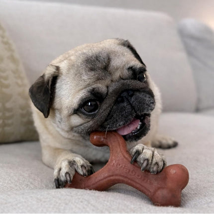 Nylabone Strong Chew Wishbone Dog Toy, Dog Toys for Aggressive Chewers