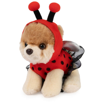 GUND Boo, El Perro Más Lindo del Mundo, Peluche de Mariquita Pomerania para Mayores de 1 año 5"