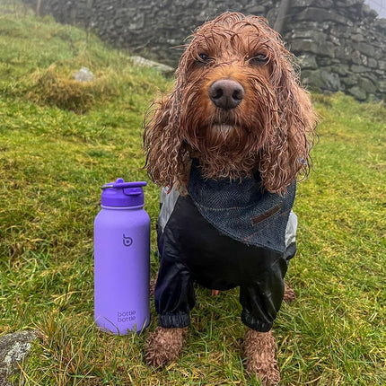 BOTTLE BOTTLE Insulated Water Bottle 950ml(32oz) Stainless Steel Sports Water Bottles with Straw Dual-use Lid Drink Flask Design for Gym with Pill Box (Purple)