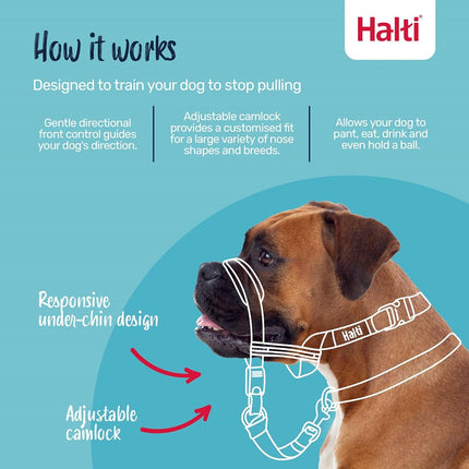 Company of Animals Halti Optifit Headcollar for Dogs, Black/Red, Large