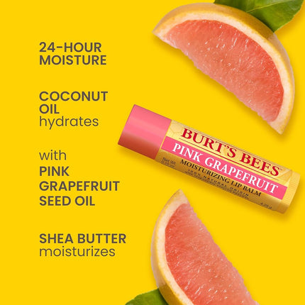 Burt's Bees 100% Natural Moisturizing Lip Balm